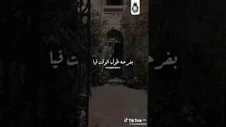 أغنية إنتي الونس سلفيني عنيكي لحظة     ليل إلمحمدي دندنها
