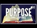 Bible Verses On Purpose Powerful Scriptures On God s Purpose For You