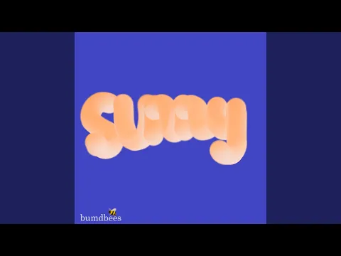 Download MP3 Sunny (Instrumental)