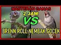 Download Lagu Masteran Murai Air Mancur Ngerol vs Nightingale Sikatan Londo Gacor Jernih Durasi Panjang 2 Jam