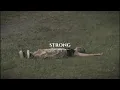 Download Lagu strong , one direction (speed up)