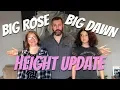 Download Lagu Big Dawn \u0026 Rose HEIGHT UPDATE