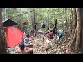 Download Lagu JARANG DIJAMAH MANUSIA HUTAN BELANTARA SUMATRA RIBUAN CUCAK IJO BERKEMBANG DISINI