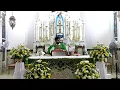 Votive Shrine Daily Mass | Live Stream | Oct. 05, 2026, Monday, 6:30 AM | English Mass