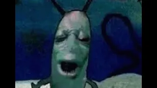 10 hours of silence occasionally broken by plankton moaning