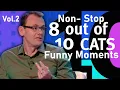 Download Lagu Funny 8 Out of 10 Cats Moments! | Cats MEGAMIX | Volume.2  | 8 Out of 10 Cats