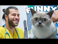 Download Lagu Eğlenceli Komik Kedi Aşıya Geldi! (Çok Sevimli Tepkiler Verdi!)