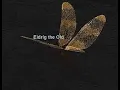 Eldrig the Old Bard Guide and Solo Kill EverQuest P99 Green
