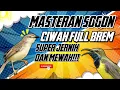 MASTERAN SOGON‼️ CIWAH FULL BREM SUPER JERNIH DAN MEWAH!!! #sogon #sogongacor #sogokontong