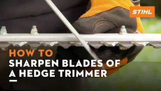 How to sharpen the blades of a hedge trimmer STIHL