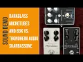 Download Lagu Darkglass Overdrives vs. Trondheim Audio SkarBassOne