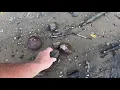 Native american Fire Cracked Rock