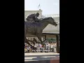 Barbaro s legacy lives on 20 years later