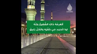 قصيدة بصومي وحجي لم أثق فالواثق للشيخ إبراهيم نياس حكاية مادح رسول الله علي حيدر