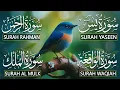 Lagu Beautiful Surah Yaseen (Yasin) | Surah Rahman | Surah Waqiah | Surah Mulk