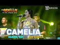 CAMELIA - NURMA KDI ADELLA ( ADELLA LIVE JAPANAN PASURUAN)