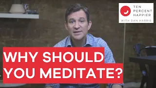 Why Meditate Dan Harris Explains Why Everyone Should Try Meditation Mindfulness for Mental Health