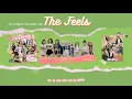 [Vietsub] The Feels - Twice (The Stereotypes Remix Ver) | full version on Nabi Fish
