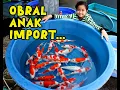 Download Lagu JUM'AT BERKAH OBRALLL....KOHAKU F1 ANAK IMPORT !!!! BURUANNN !!! 11-07-2025