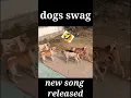 Download Lagu dog song #shot dog music
