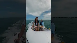 if you are in Beaufort, check out the conservation efforts of Keith #travel #conservatio. #whales