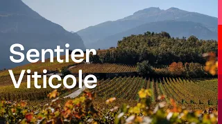 Sentier Viticole – An Autumnal Journey for All the Senses | Switzerland Tourism