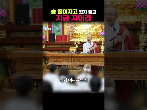숨 떨어지고 받으면 찝찝해요 안찝찝해요? #이게불교이지 #월도스님 #공덕