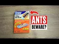 Got Ants My Experience with Terro Liquid Ant Baits Review
