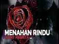 Menahan Rindu -  Wany Hasrita Karaoke