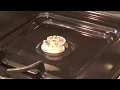 Repair Gas Stove Igniter That Doesn t Spark