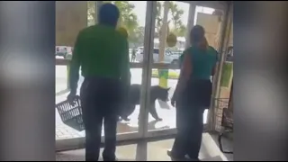 Bear goes for a grocery run at a Publix supermarket in Florida