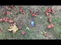 There was a Nokia C3 lying on the ground in the park.