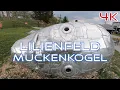 Download Lagu Lilienfeld, Muckenkogel Austria 4K 60fps UHD