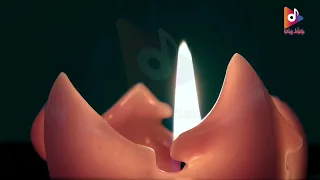 أجمل موسيقي للحب اثناء العلاقة الحميمية موسیقی رومانسية للمتزوجين 