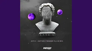 rapture timadeep p l u r mix 