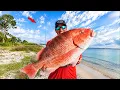 Once In a Lifetime Catch from the Beach Big Snapper Catch Clean Cook