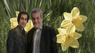 جمشید نجفی گل درن Jamshid Najafi 