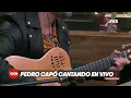 PEDRO CAPÓ  ESTOY ENAMORADO