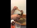 Download Lagu Funny Micronesian drinking kava sakau and underestimating it.