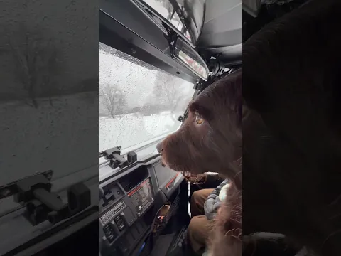 Buster’s 1st time doing this in the snow!!