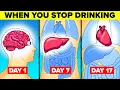 Download Lagu What Happens To Your Body When You Stop Drinking Alcohol