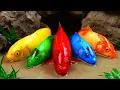 Download Lagu Best Of Small Fish Recipe | MINIATURE Fish Cooking Made EASY with Simple Recipe