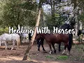 Healing with Horses, and channeled messages ( Horse Wisdom Farm)