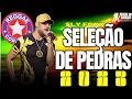 SELEÇÃO DE PEDRAS | SLY FOXX 2023 | SÓ PEDRAS DE QUALIDADE 🔥