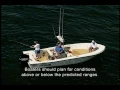 Marine Forecast