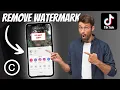 Download Lagu How To Download Tiktok Video Without Watermark
