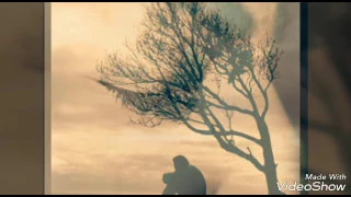 الاغنية القبائلية التي ابكت الملايين Ayouliw Ttexilek Ttus 