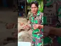 Download Lagu penyu hijau pulau berhala