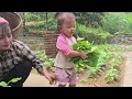 A Powerful Water Spray Nozzle Changes Everything! Cu Bon’s Family Saves Time and Hard Work!
