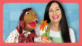 Petrinha e a flor mal humorada - Contação de Histórias - Varal de Histórias